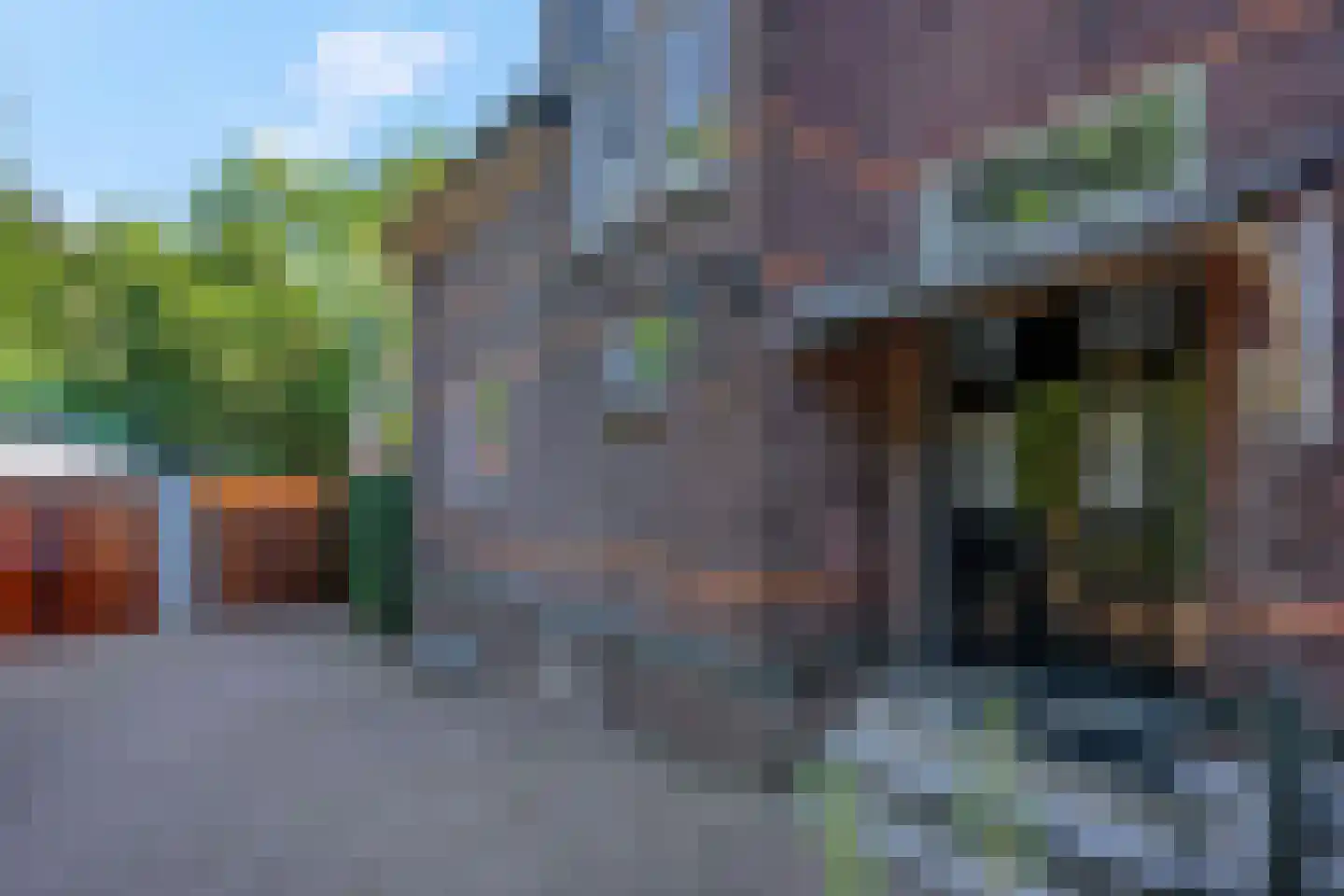 Lawickse Allee 124 Wageningen thumbnail 61