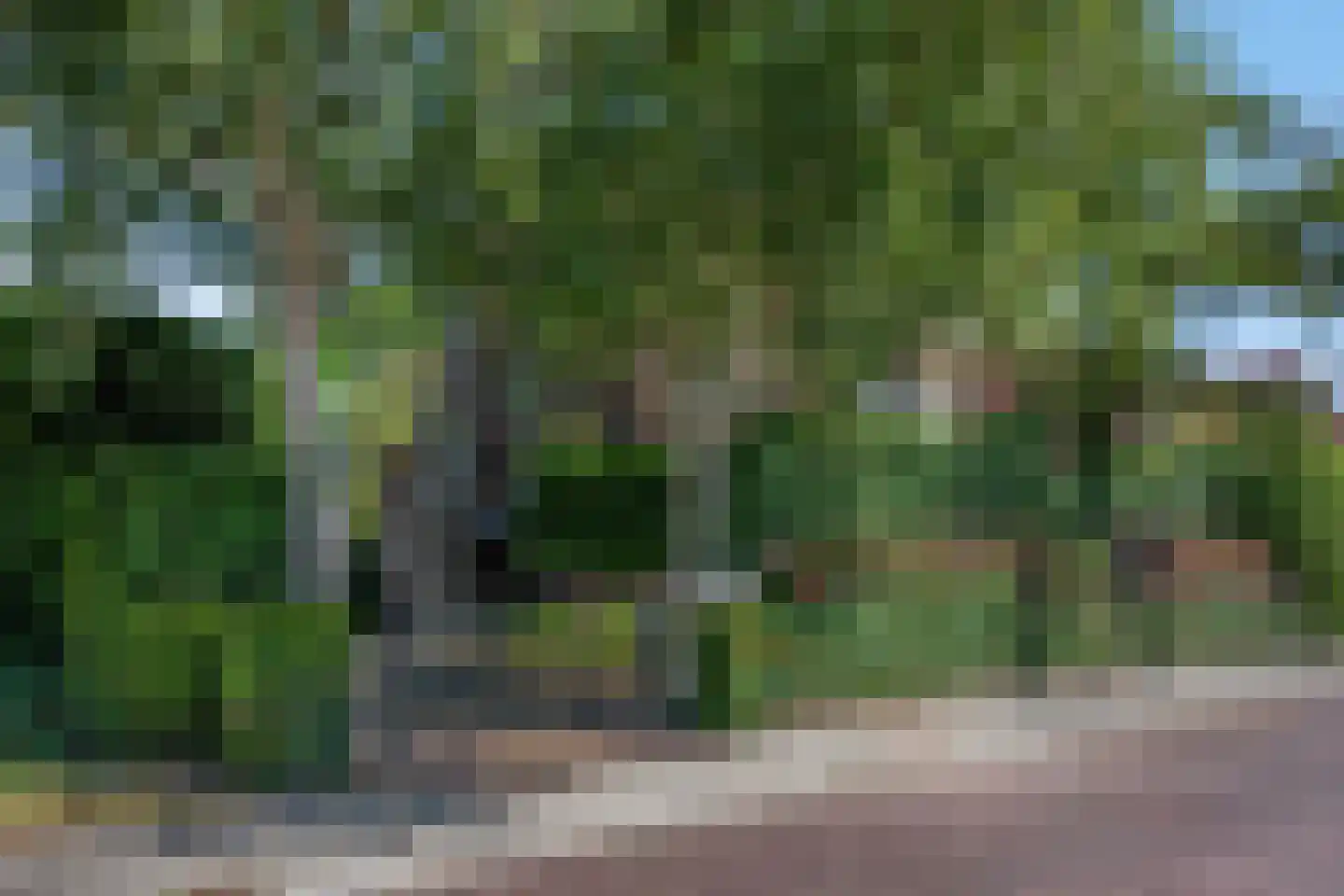 Lawickse Allee 124 Wageningen thumbnail 64