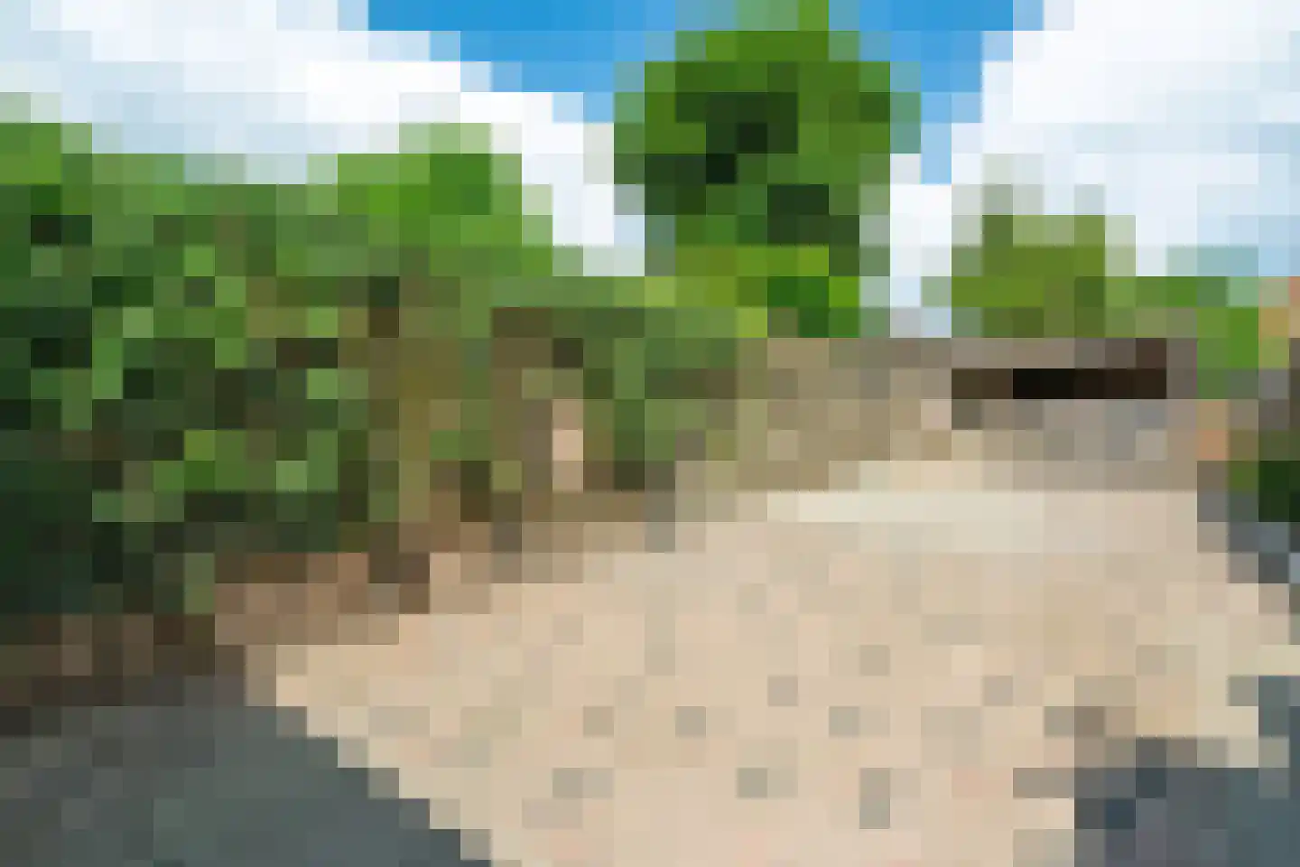 Lawickse Allee 174 Wageningen thumbnail 25