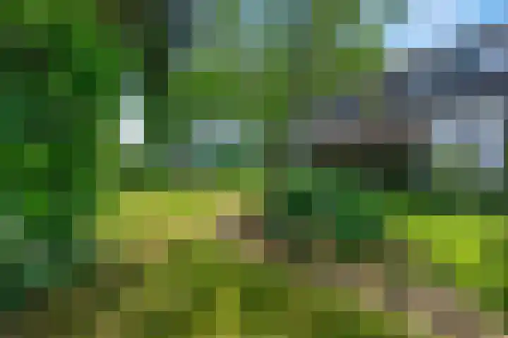 Lawickse Allee 202 Wageningen thumbnail 31