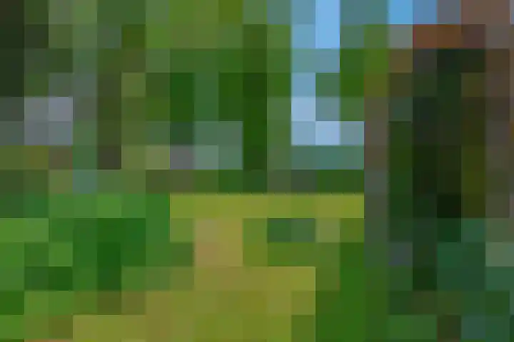 Lawickse Allee 202 Wageningen thumbnail 32