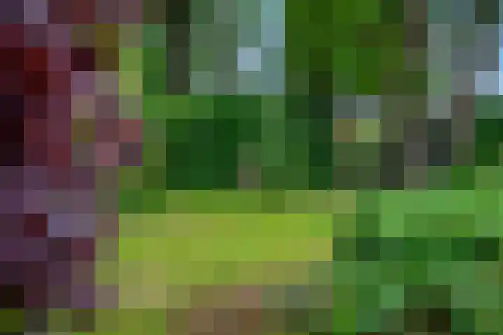 Lawickse Allee 202 Wageningen thumbnail 33