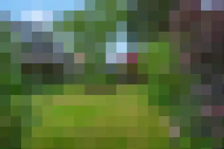 Lawickse Allee 202 Wageningen thumbnail 34