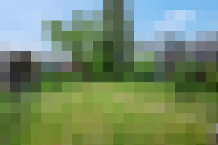 Lawickse Allee 202 Wageningen thumbnail 35
