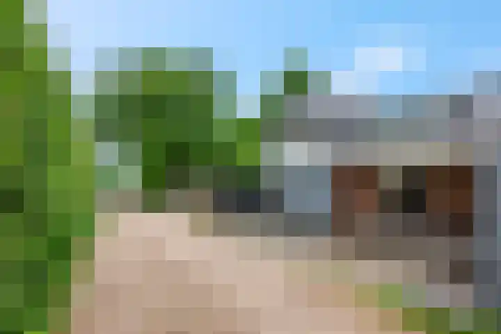 Lawickse Allee 202 Wageningen thumbnail 39