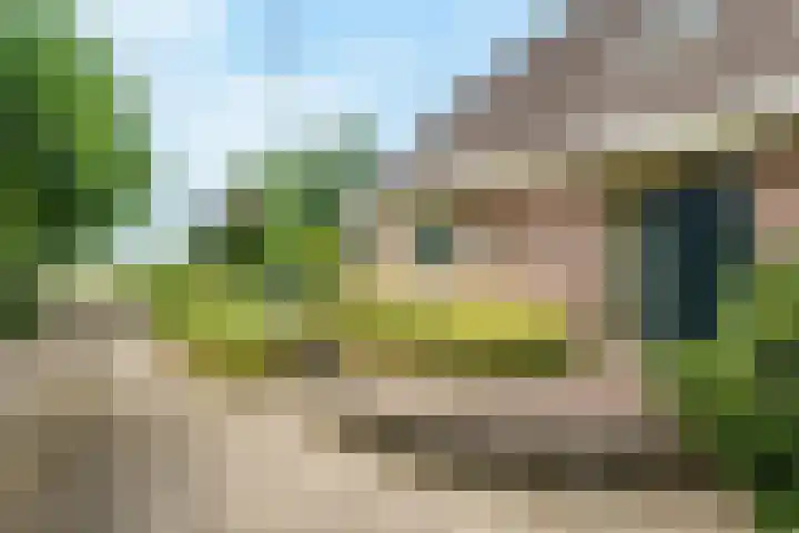 Lawickse Allee 206 Wageningen thumbnail 10