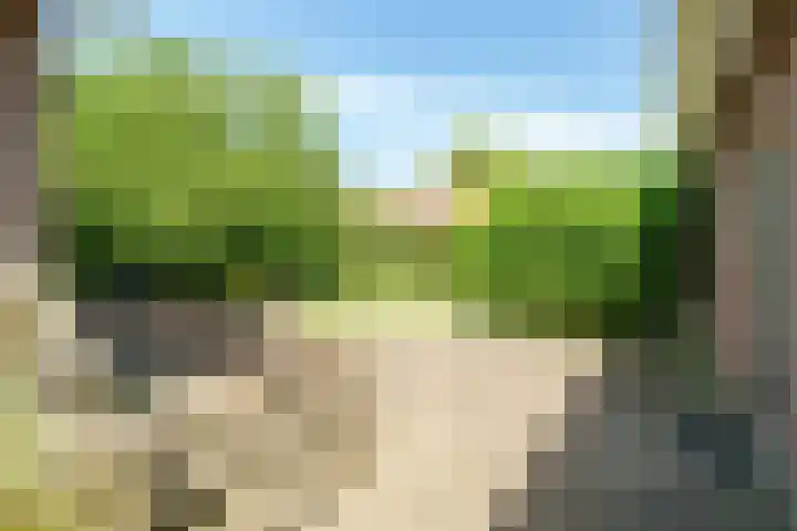 Lawickse Allee 206 Wageningen thumbnail 33