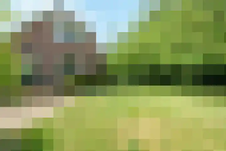 Lawickse Allee 206 Wageningen thumbnail 34