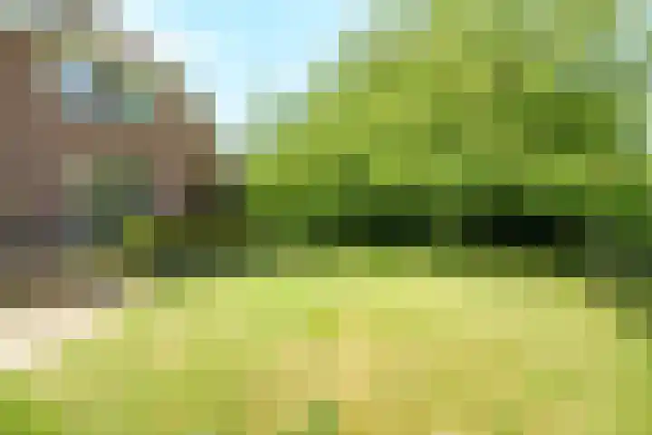 Lawickse Allee 206 Wageningen thumbnail 35