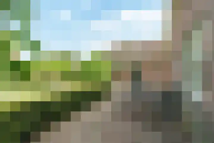 Lawickse Allee 206 Wageningen thumbnail 38