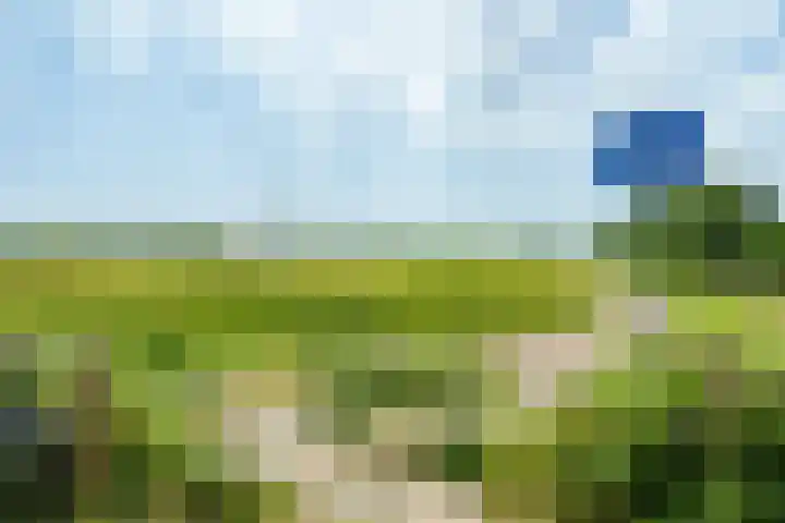 Lawickse Allee 206 Wageningen thumbnail 39