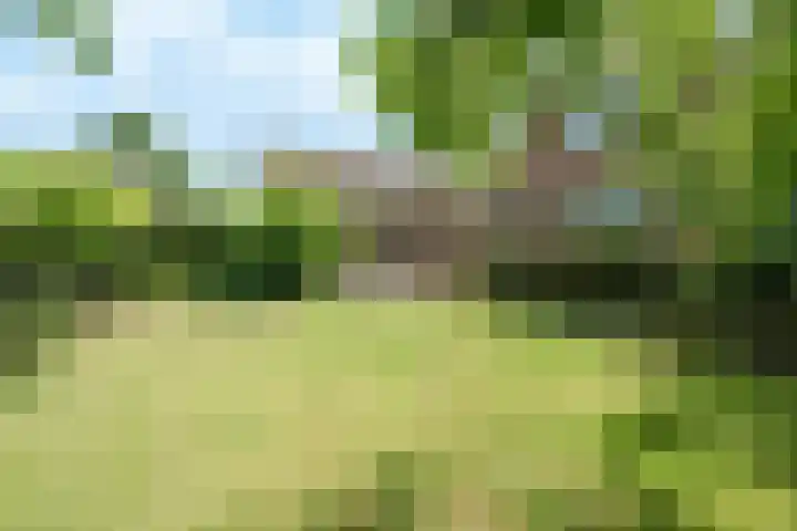 Lawickse Allee 206 Wageningen thumbnail 4