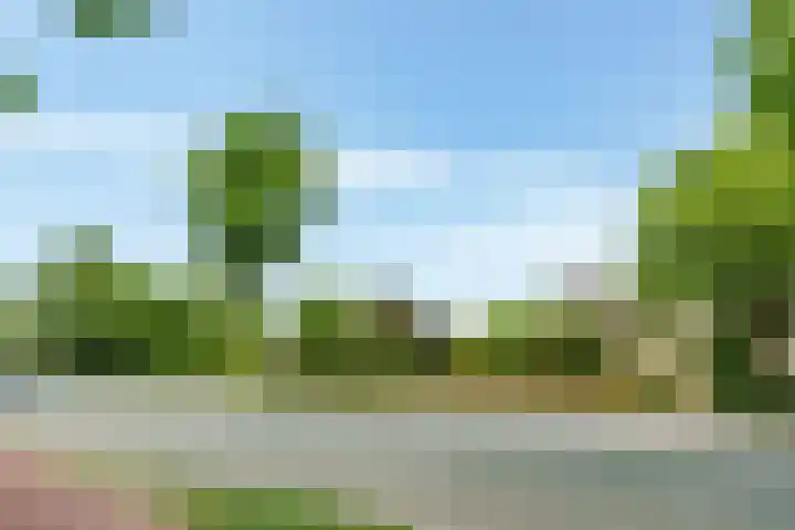 Lawickse Allee 206 Wageningen thumbnail 40