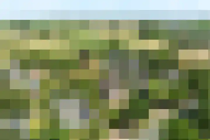 Lawickse Allee 206 Wageningen thumbnail 42