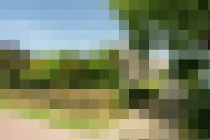 Lawickse Allee 206 Wageningen thumbnail 7