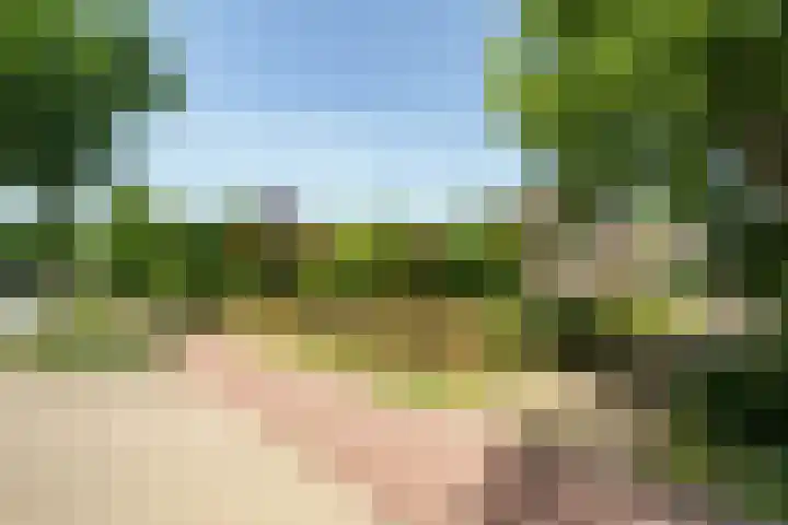 Lawickse Allee 206 Wageningen thumbnail 8