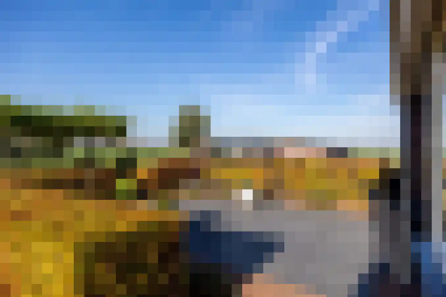 Lawickse Allee 220 B Wageningen thumbnail 59