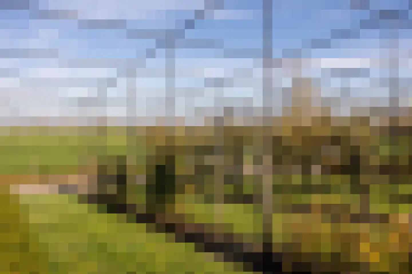 Lawickse Allee 220 B Wageningen thumbnail 62