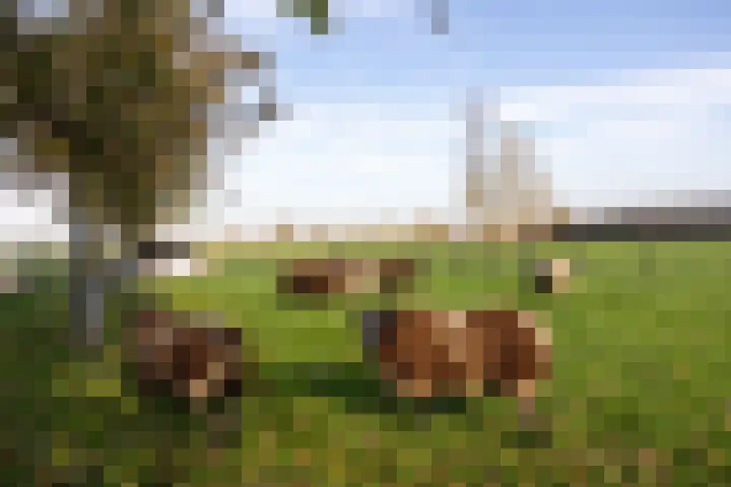 Lawickse Allee 220 B Wageningen thumbnail 63