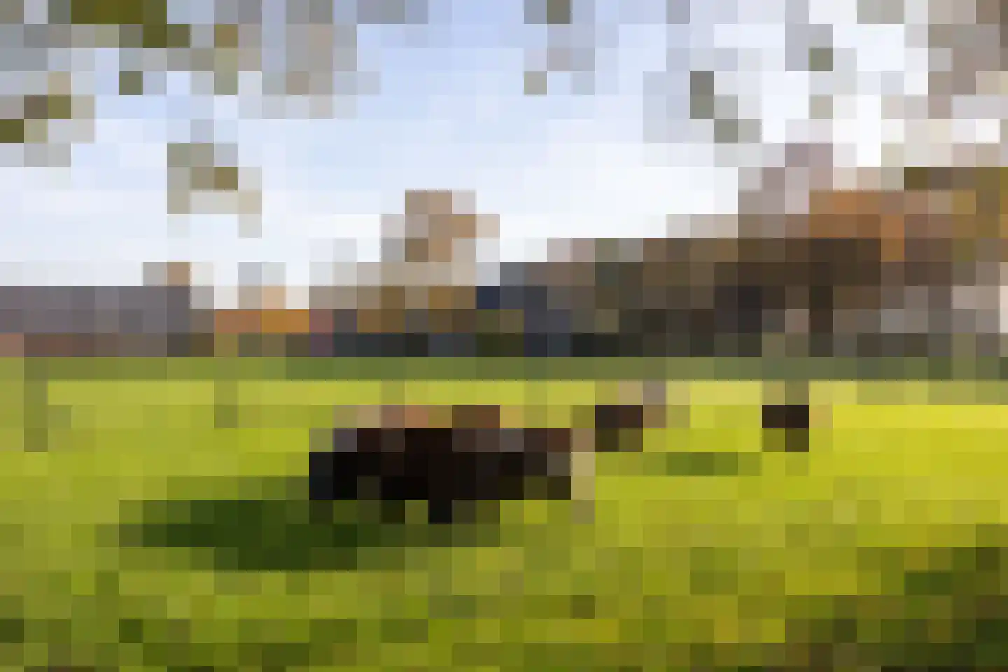 Lawickse Allee 220 B Wageningen thumbnail 64