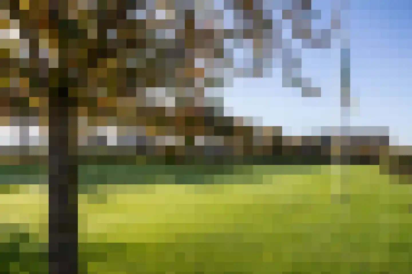 Lawickse Allee 220 B Wageningen thumbnail 66