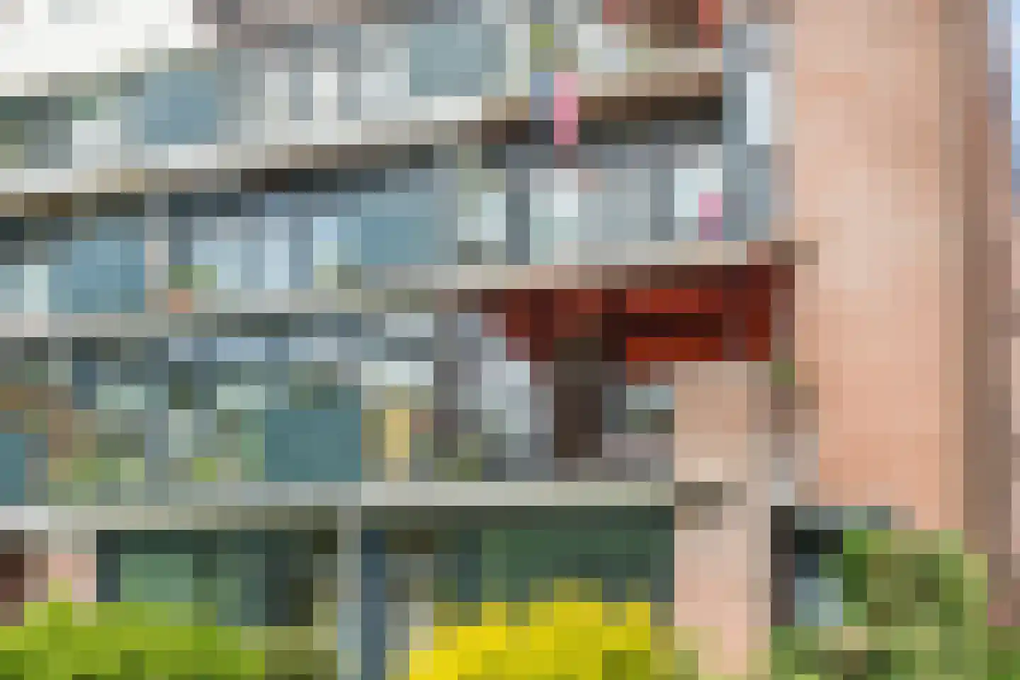 Lawickse Allee 72 A Wageningen thumbnail 34