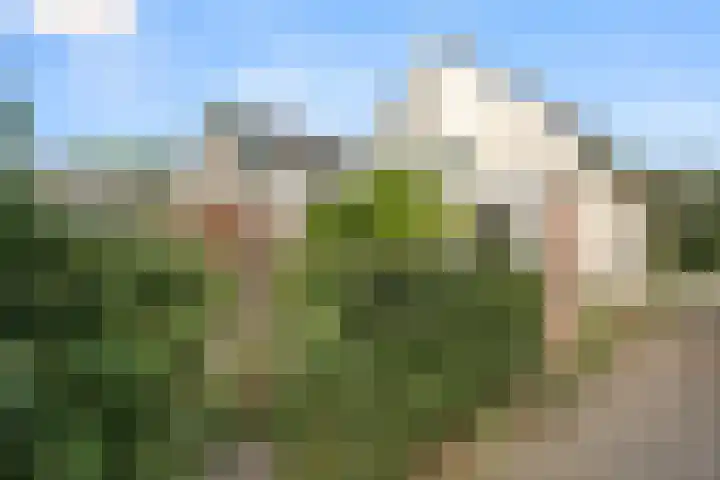 Lawickse Allee 81 Wageningen thumbnail 24