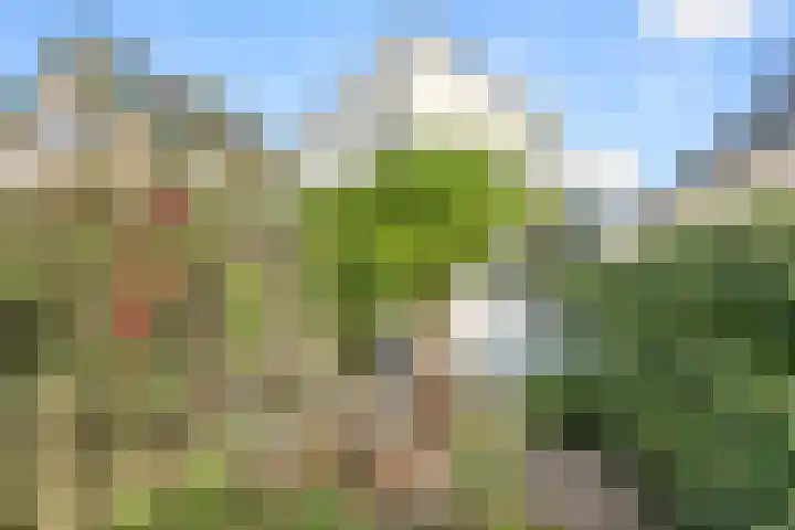 Lawickse Allee 81 Wageningen thumbnail 25