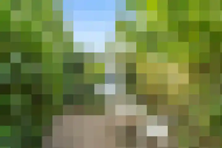 Lawickse Allee 81 Wageningen thumbnail 27