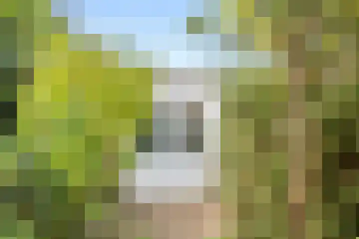 Lawickse Allee 81 Wageningen thumbnail 28