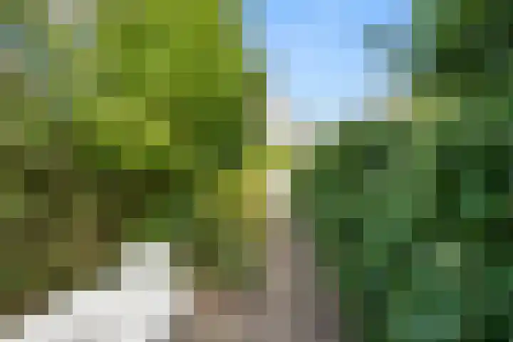 Lawickse Allee 81 Wageningen thumbnail 29