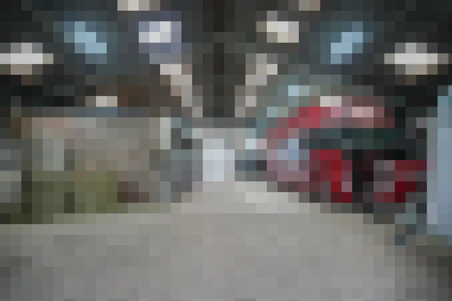 Lawickse Allee 95 Wageningen thumbnail 56