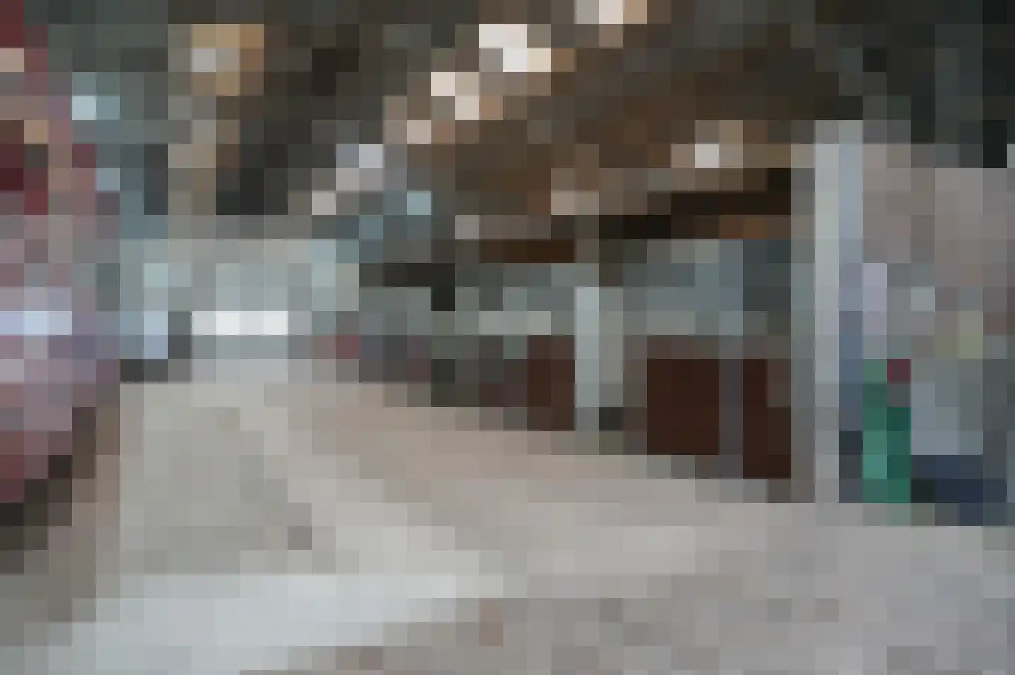 Lawickse Allee 95 Wageningen thumbnail 57
