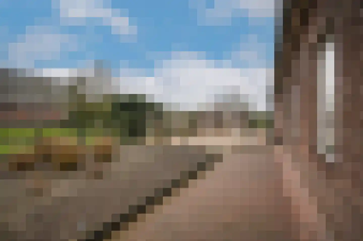 Lawickse Allee 95 Wageningen thumbnail 64