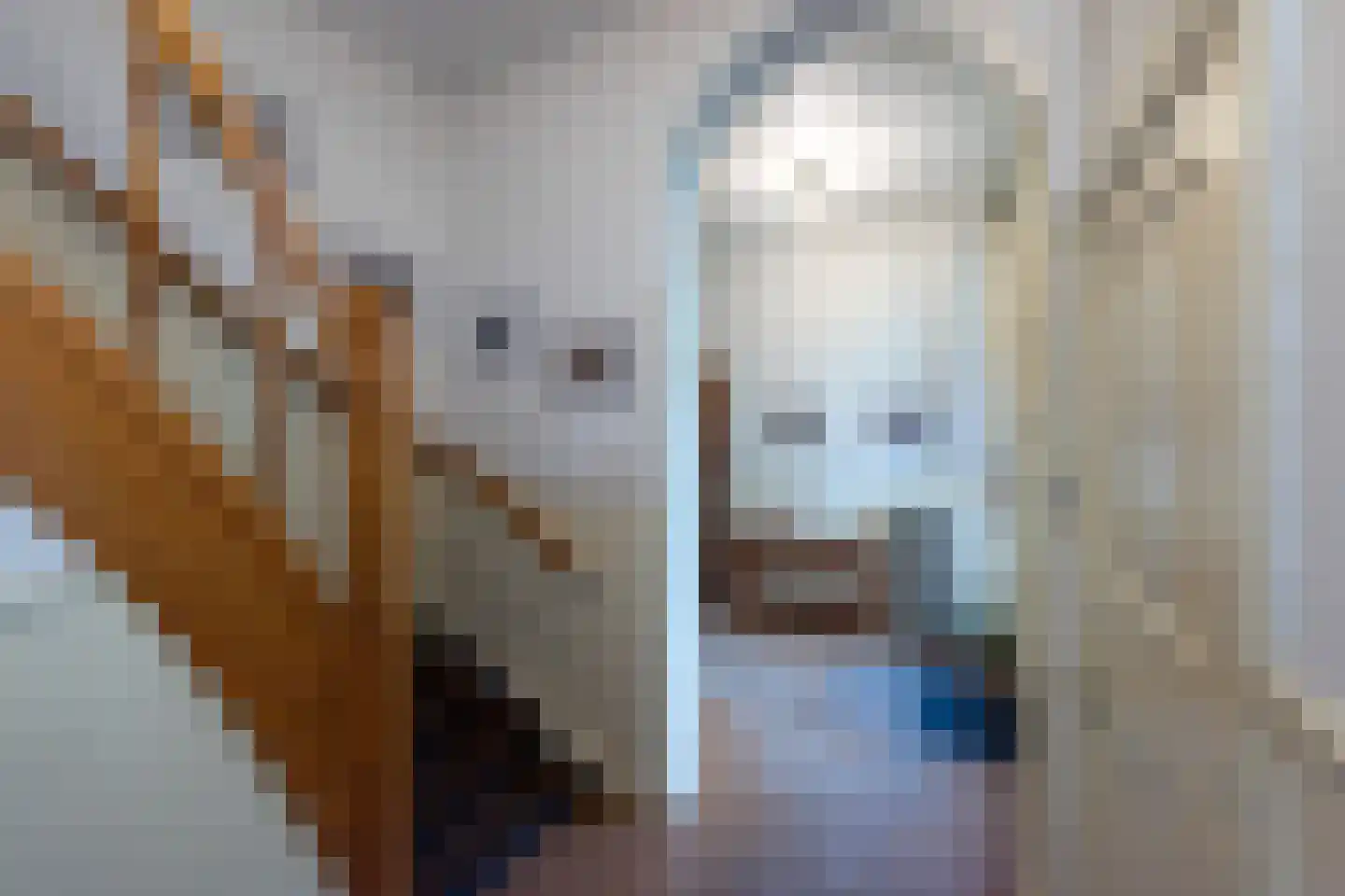 Lawickse Allee 98 Wageningen thumbnail 25