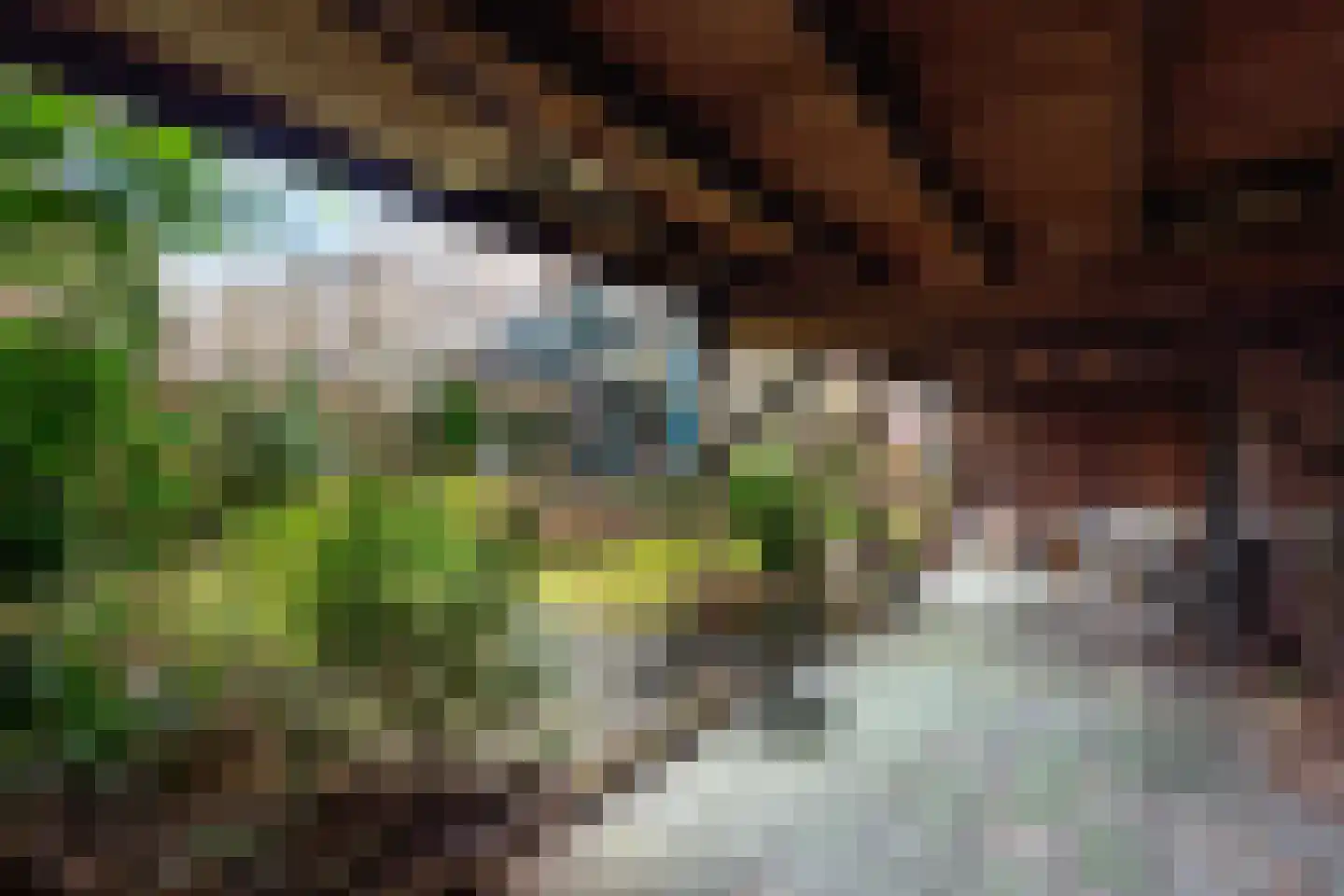 Lawickse Allee 98 Wageningen thumbnail 63