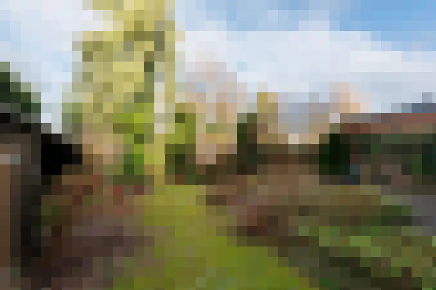 Lawickse Allee 98 Wageningen thumbnail 64