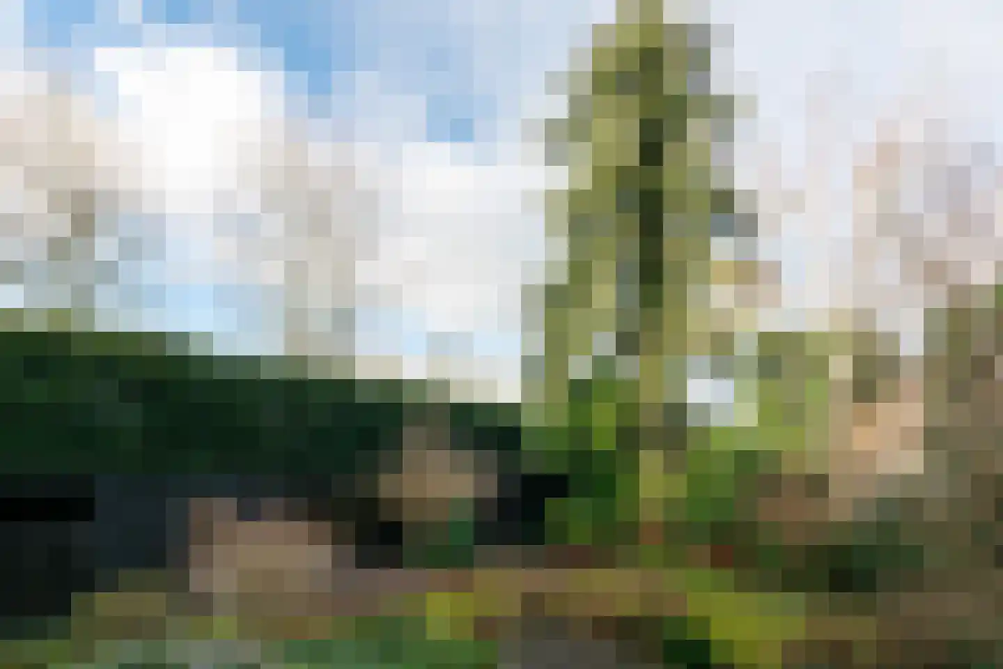 Lawickse Allee 98 Wageningen thumbnail 65