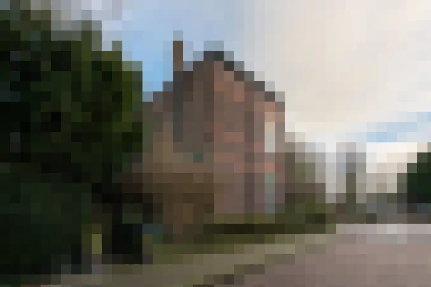 Lawickse Allee 98 Wageningen thumbnail 66