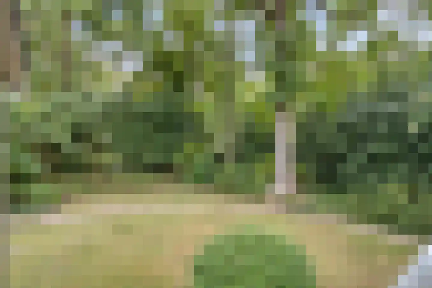 Lazarusbocht 5 Oirschot thumbnail 41