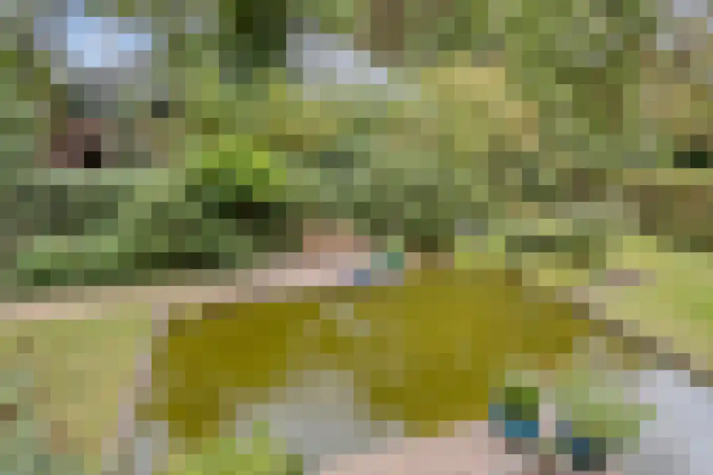 Lazarusbocht 5 Oirschot thumbnail 42