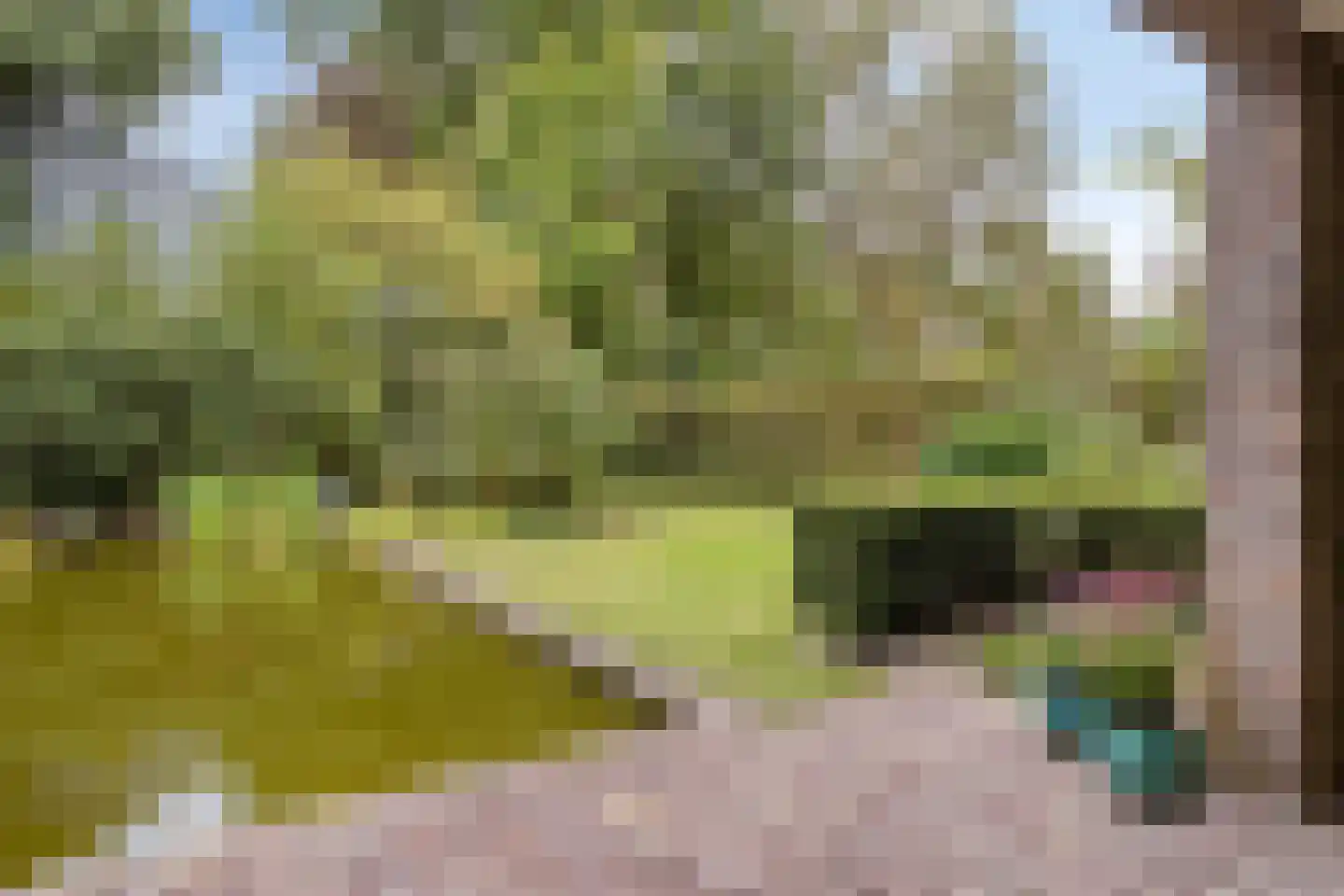 Lazarusbocht 5 Oirschot thumbnail 43