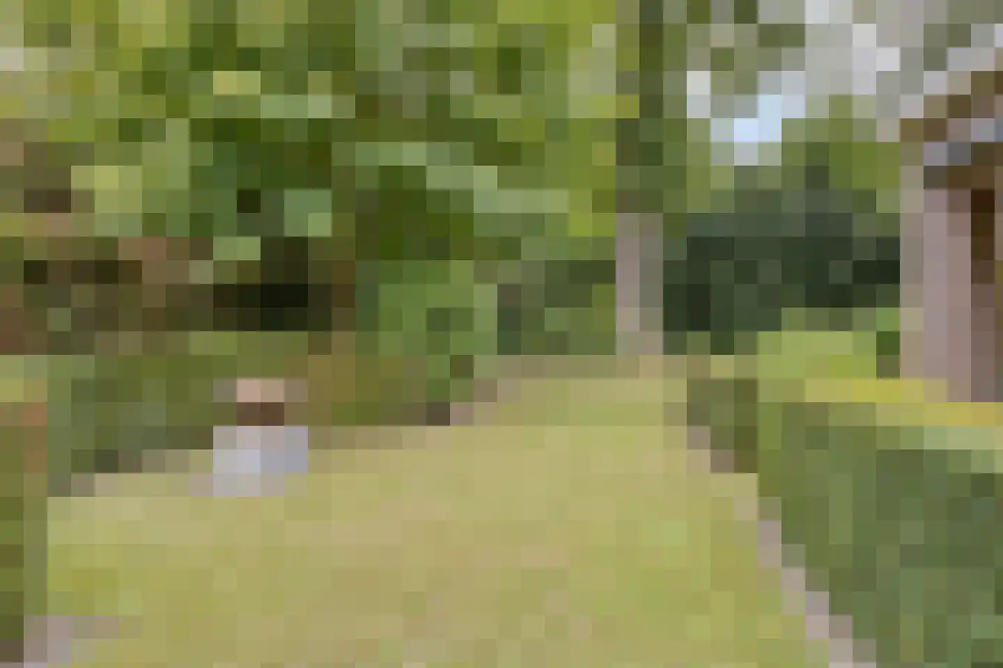 Lazarusbocht 5 Oirschot thumbnail 46