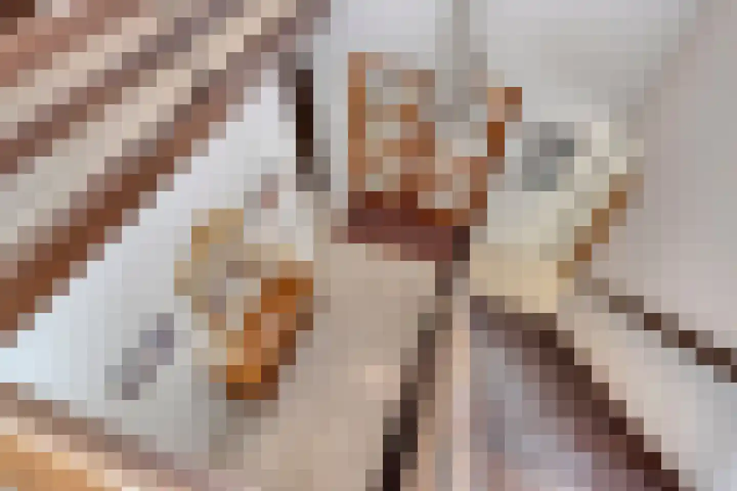 Lazarusbocht 5 Oirschot thumbnail 7