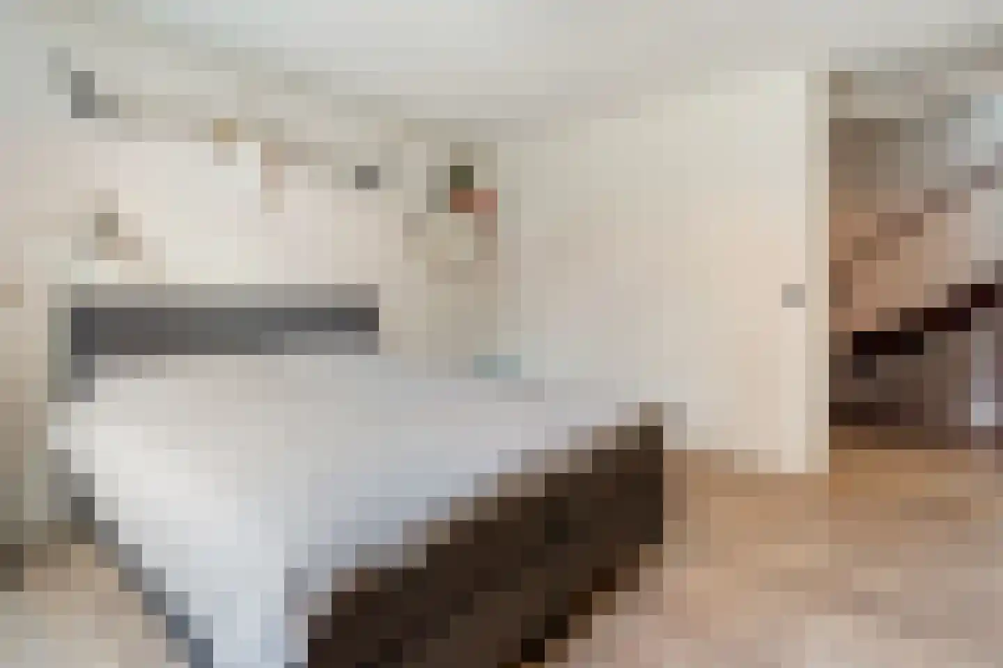 Lazaruskade 29 Gouda thumbnail 14