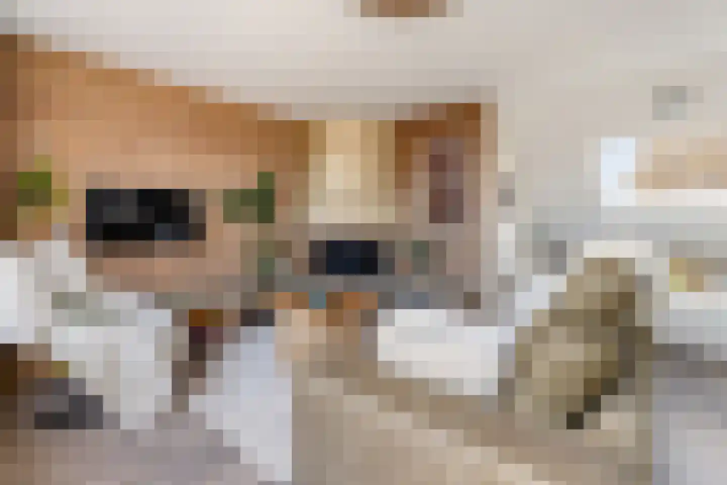 Lazaruskade 29 Gouda thumbnail 27