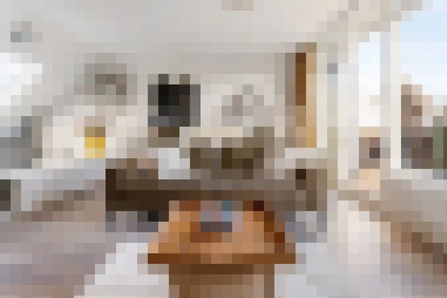 Lazaruskade 29 Gouda thumbnail 30