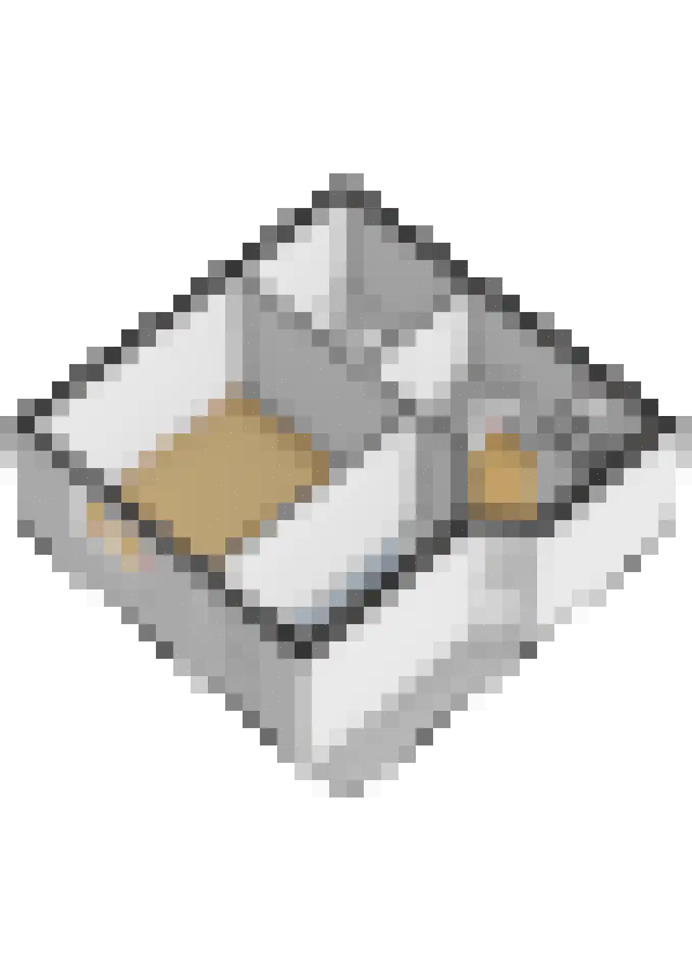 Lazaruskade 29 Gouda thumbnail 39
