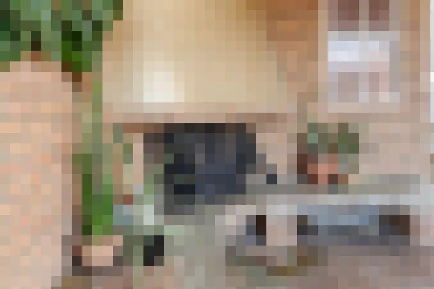 Lazaruskade 29 Gouda thumbnail 6