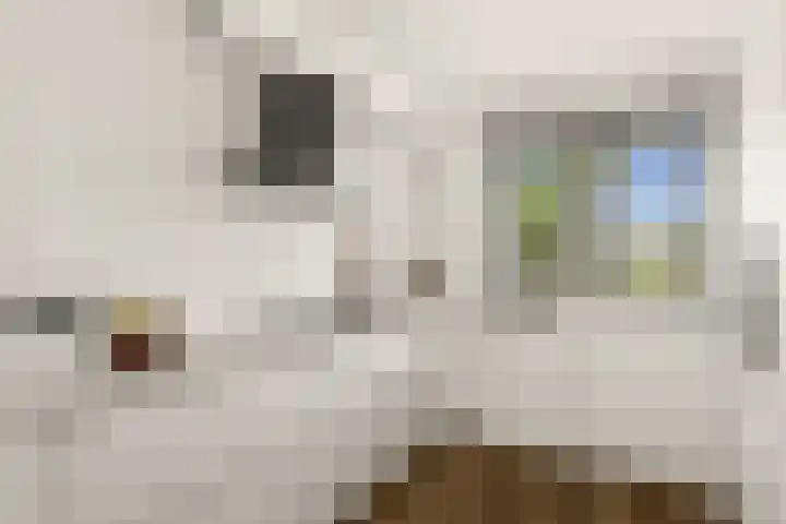 Lazuursteen 3 Houten thumbnail 10